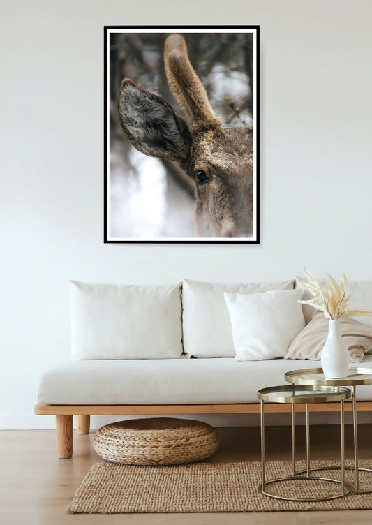 El Ciervo más Austral del Mundo