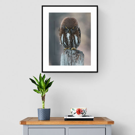 the-gray-wood-cabinet (2)