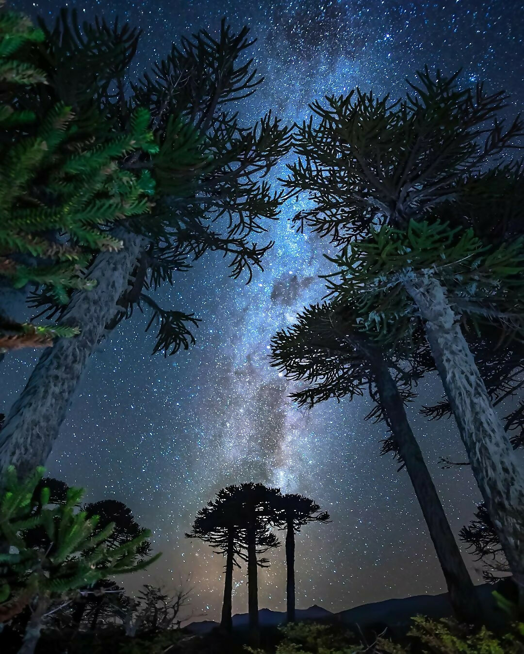 Earth and Cosmos in harmony