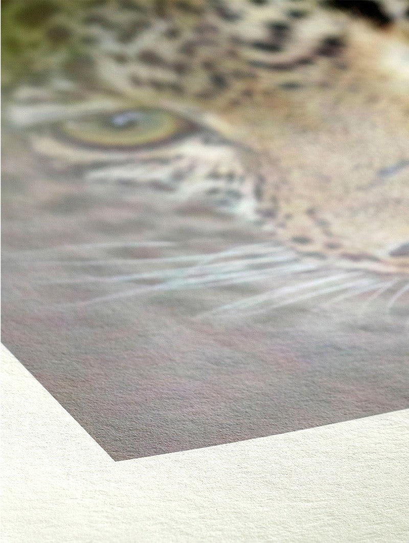 IMPRESION 60X70