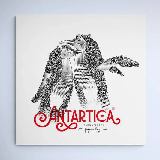 King Penguin Faunafloral
