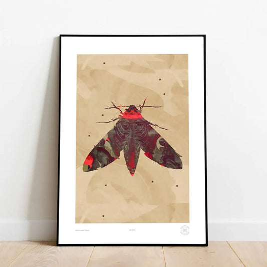 Red Moth
