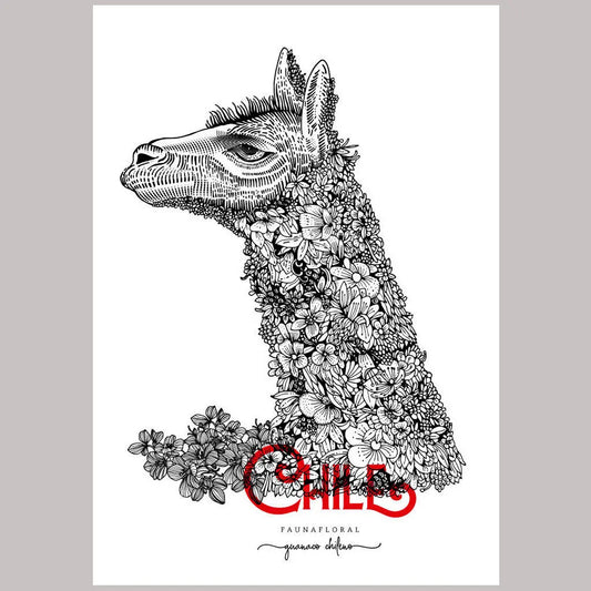 Guanaco Flora and Fauna