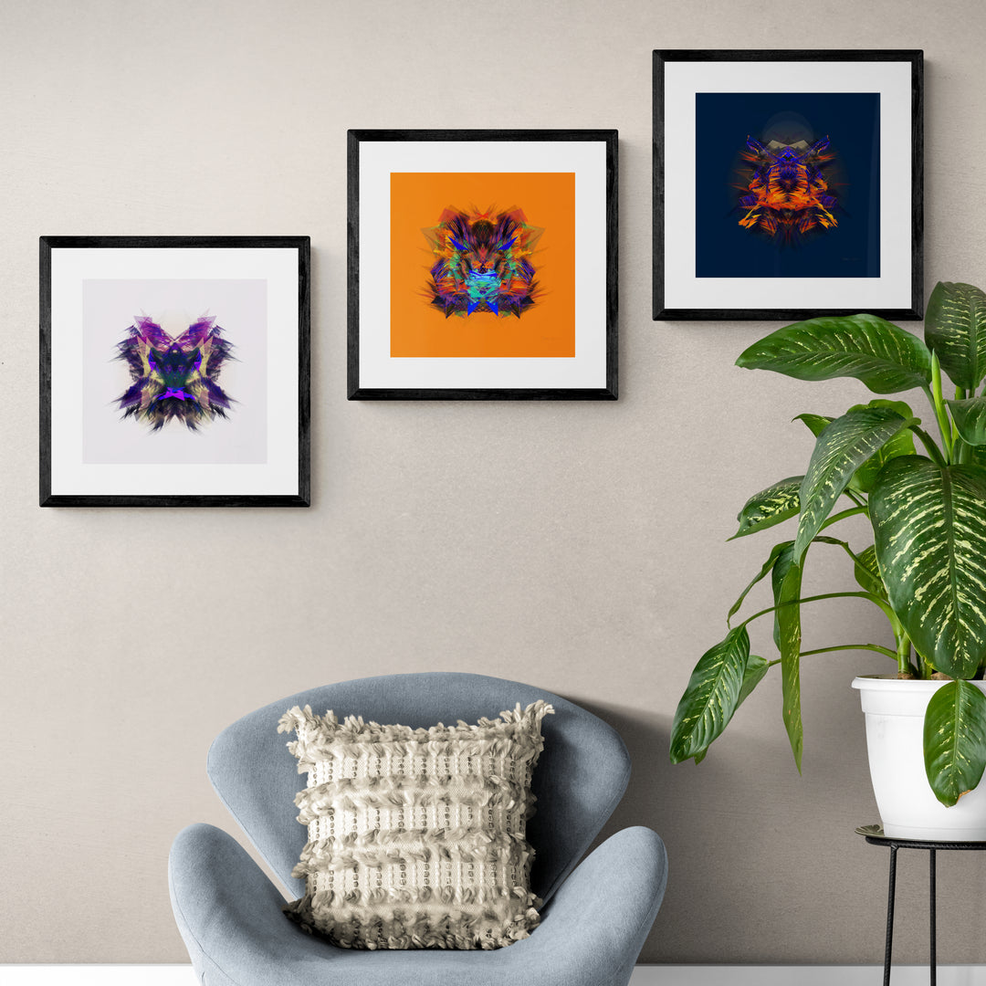 Colors Series