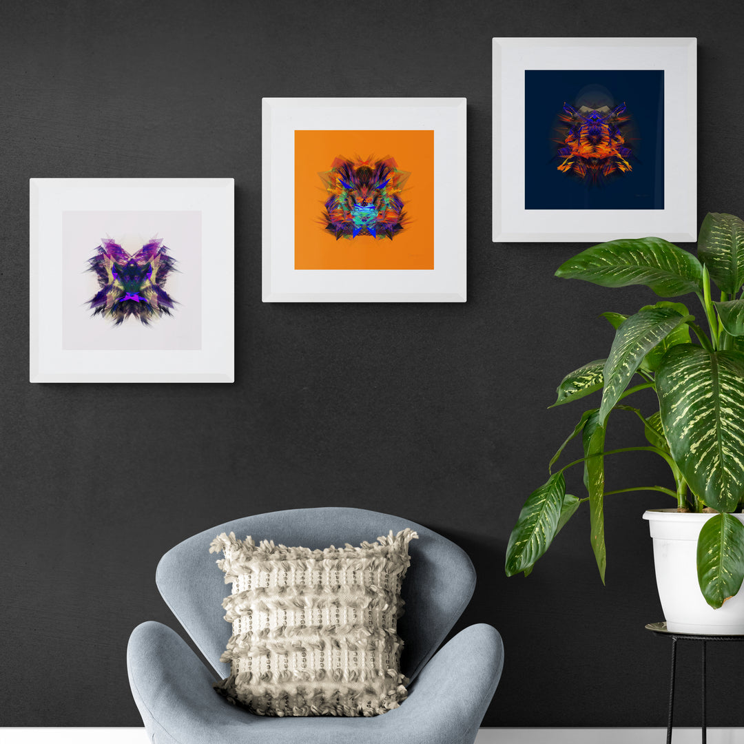Colors Series