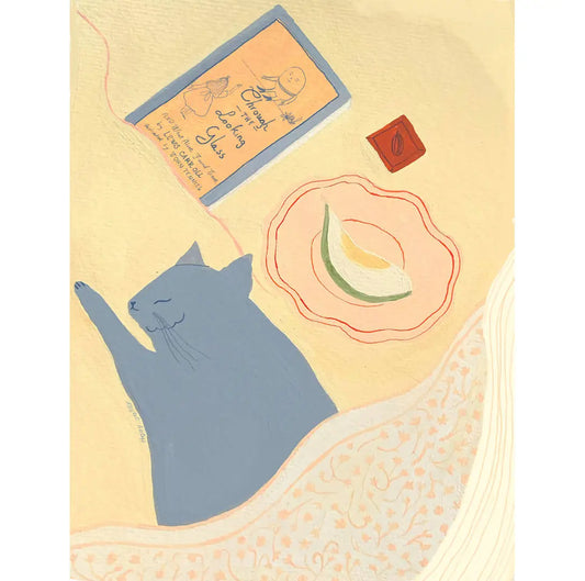 Life Between Blankets