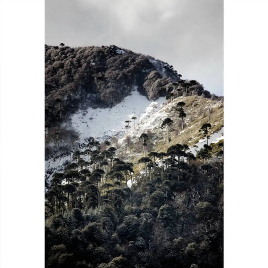 Montaña Vertical