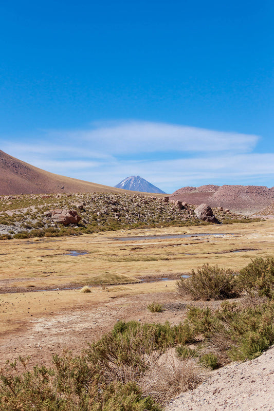 El Encanto del Humedal