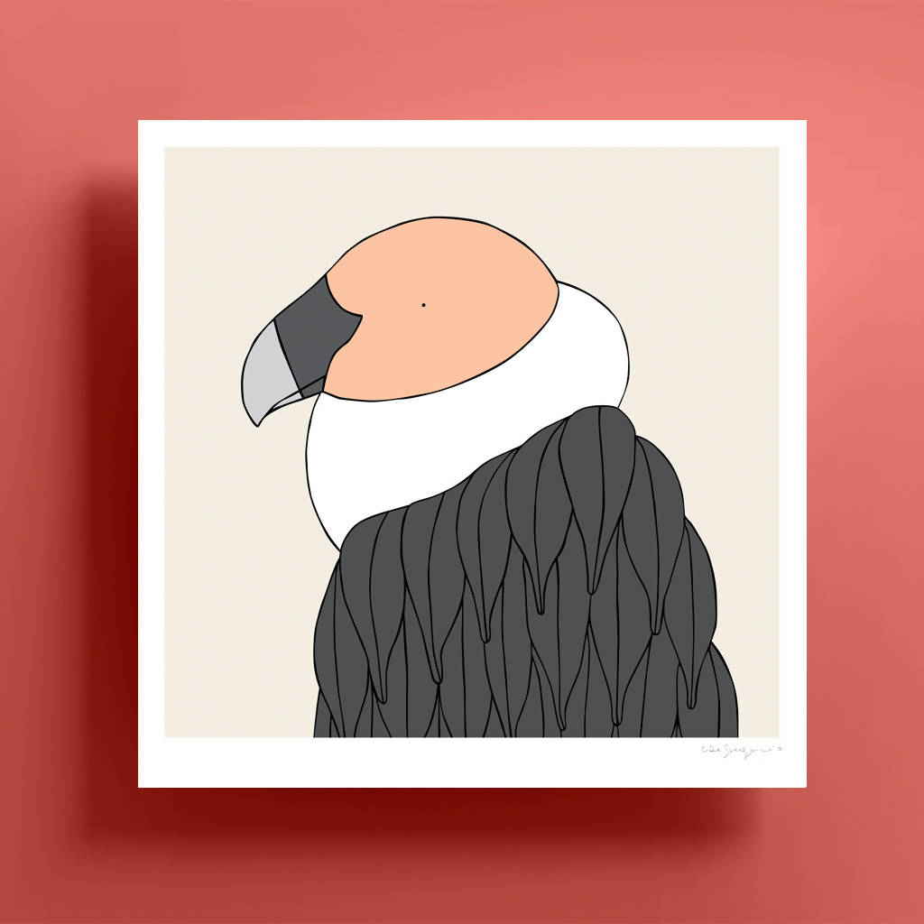 Andean Condor