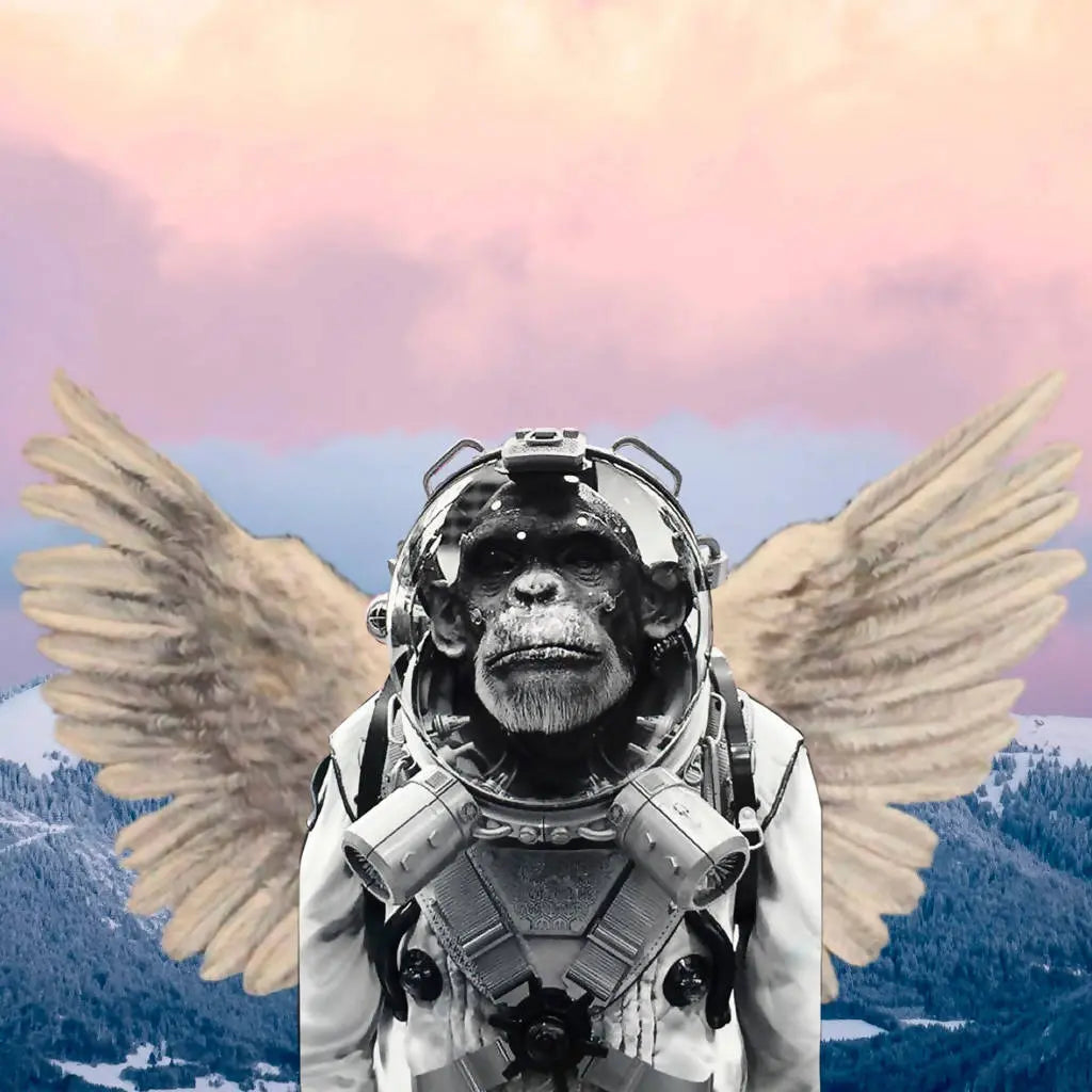 Ape 1