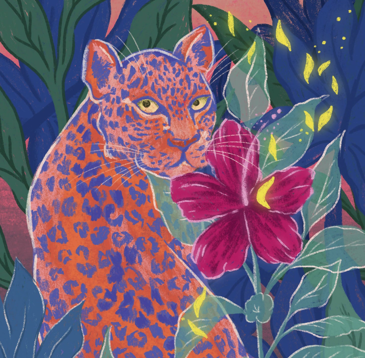 Jaguar Hibisco