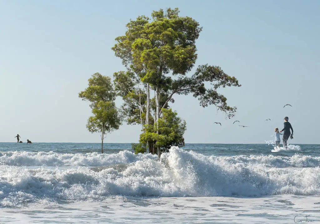 I dream of the sea