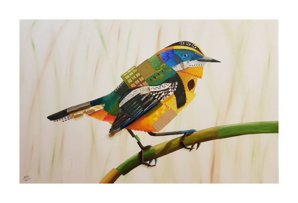 Siete Colores