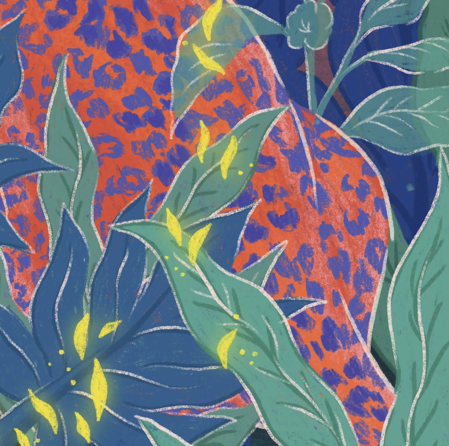 Jaguar Hibisco
