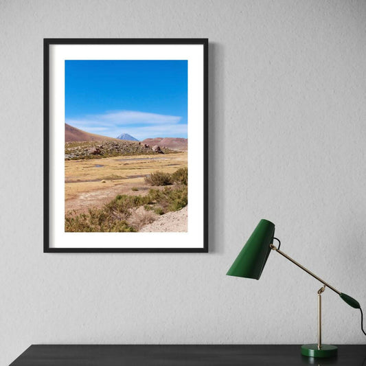 El Encanto del Humedal