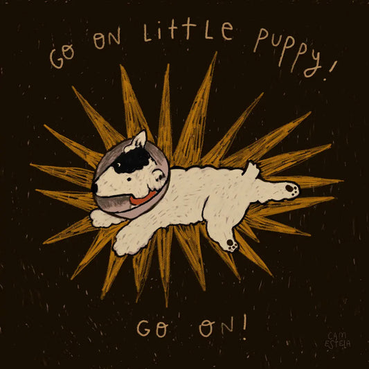 ¡Tu puedes perrito!