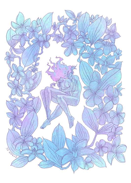 Sueño de una noche de verano