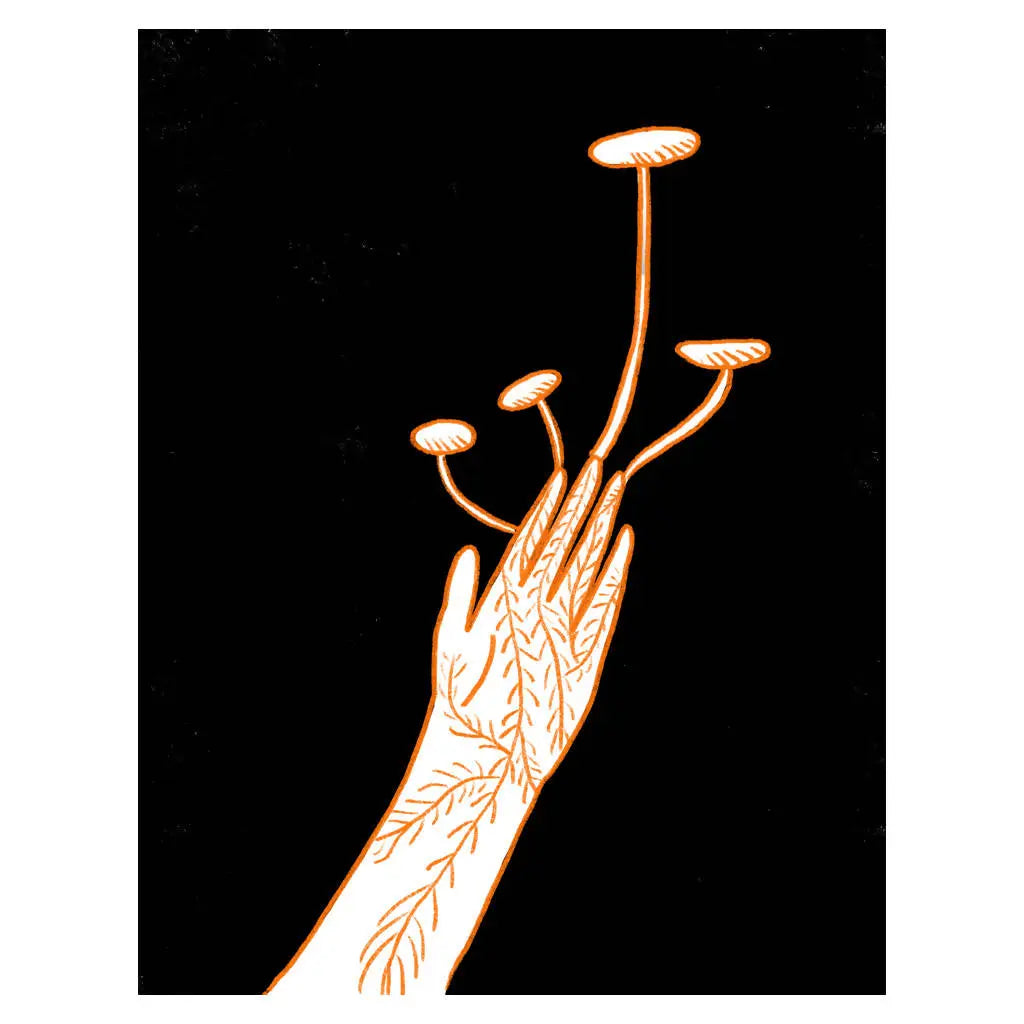 Fungi