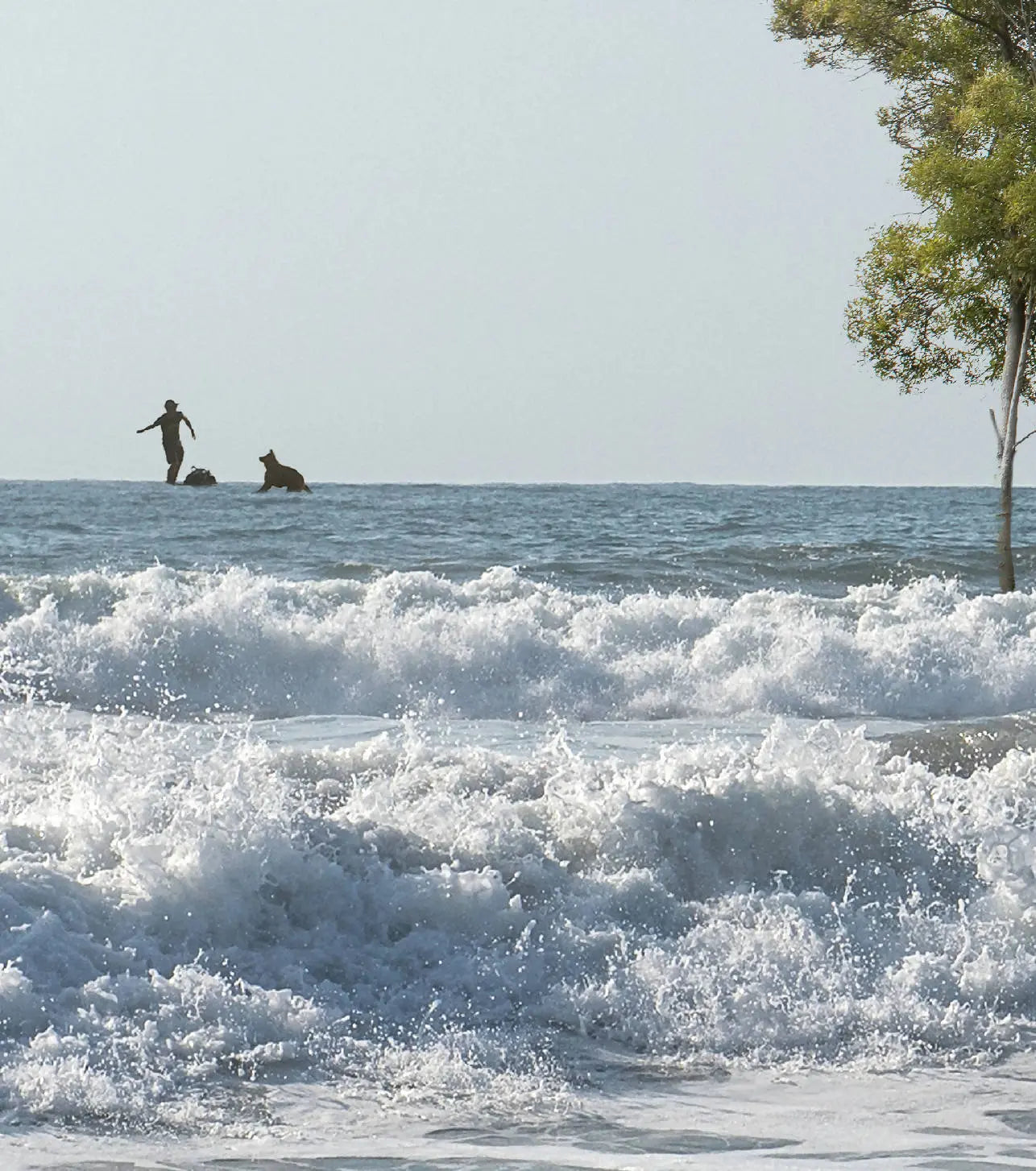 I dream of the sea