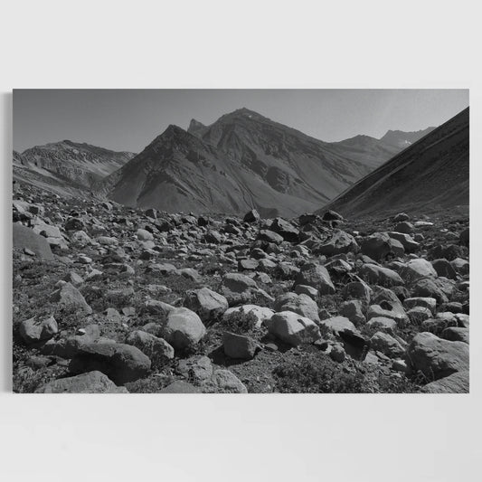 Homenaje a Ansel Adams