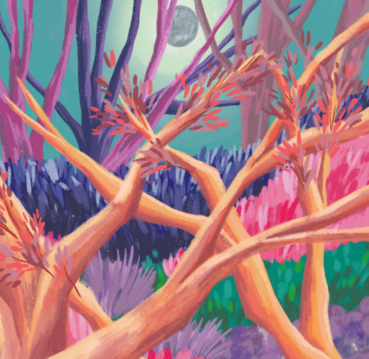 Sueño de un bosque lluvioso al sur del mundo