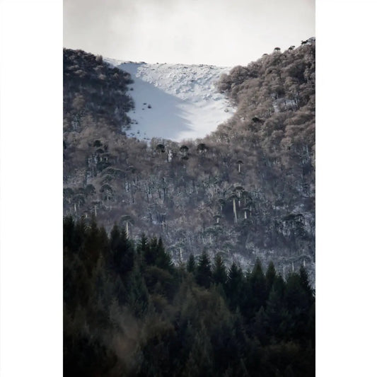 Montaña Vertical dos