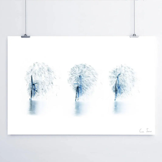 Secuencia Fuego Artificial