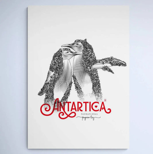 King Penguin Faunafloral