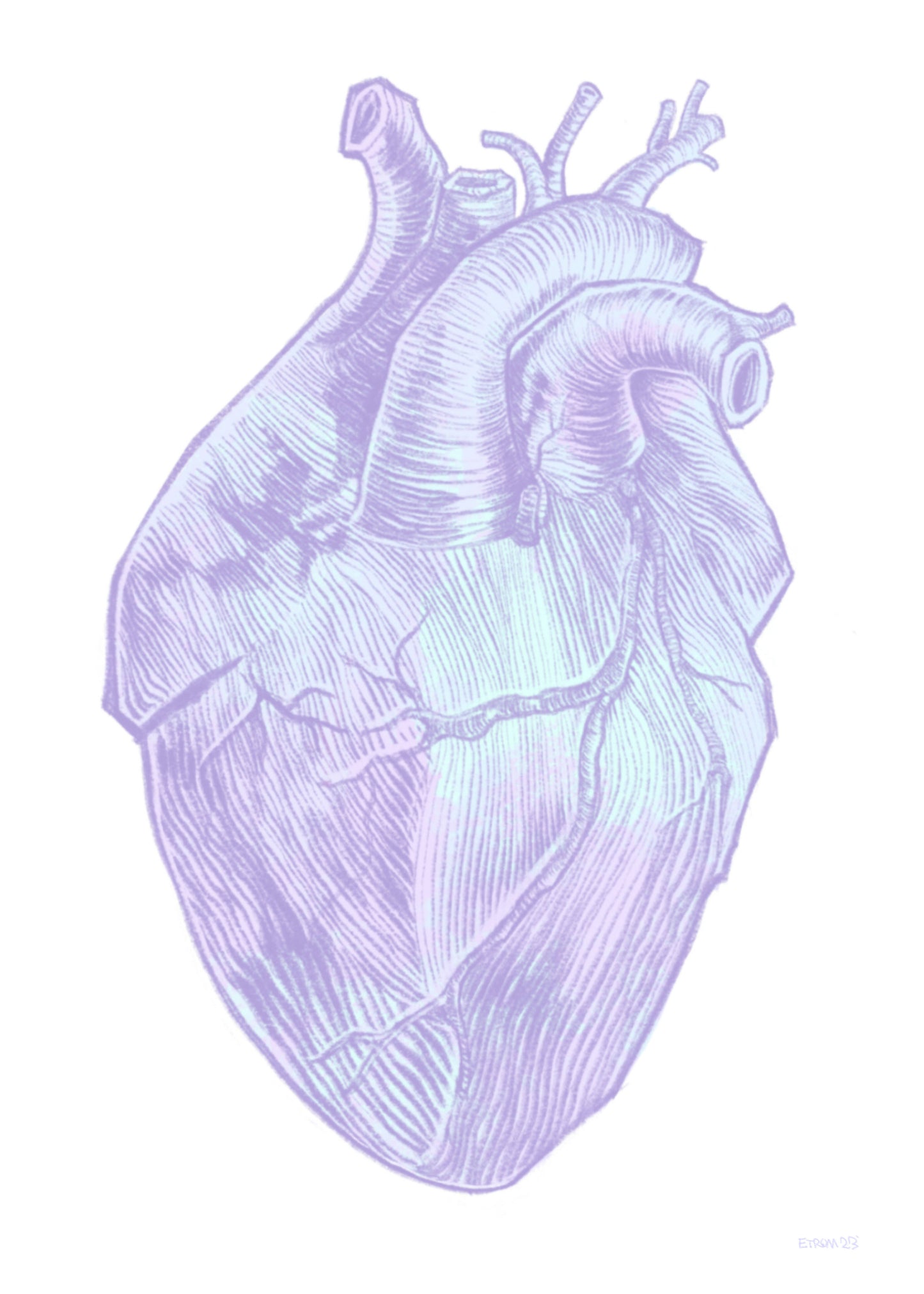 Corazón