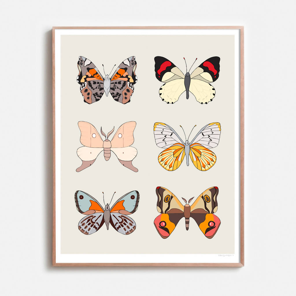 Lepidoptera of Chile