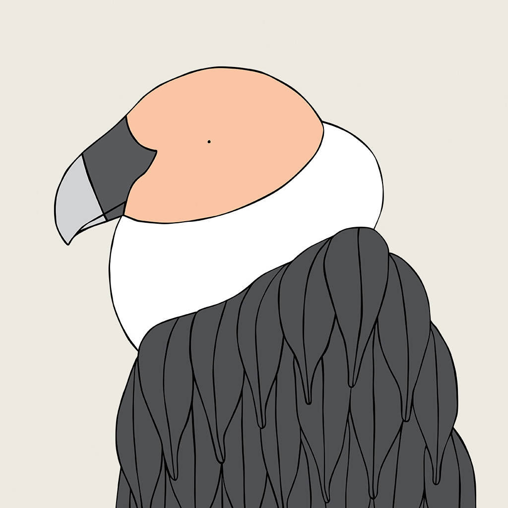 Andean Condor