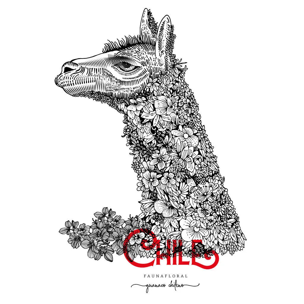 Guanaco Flora and Fauna