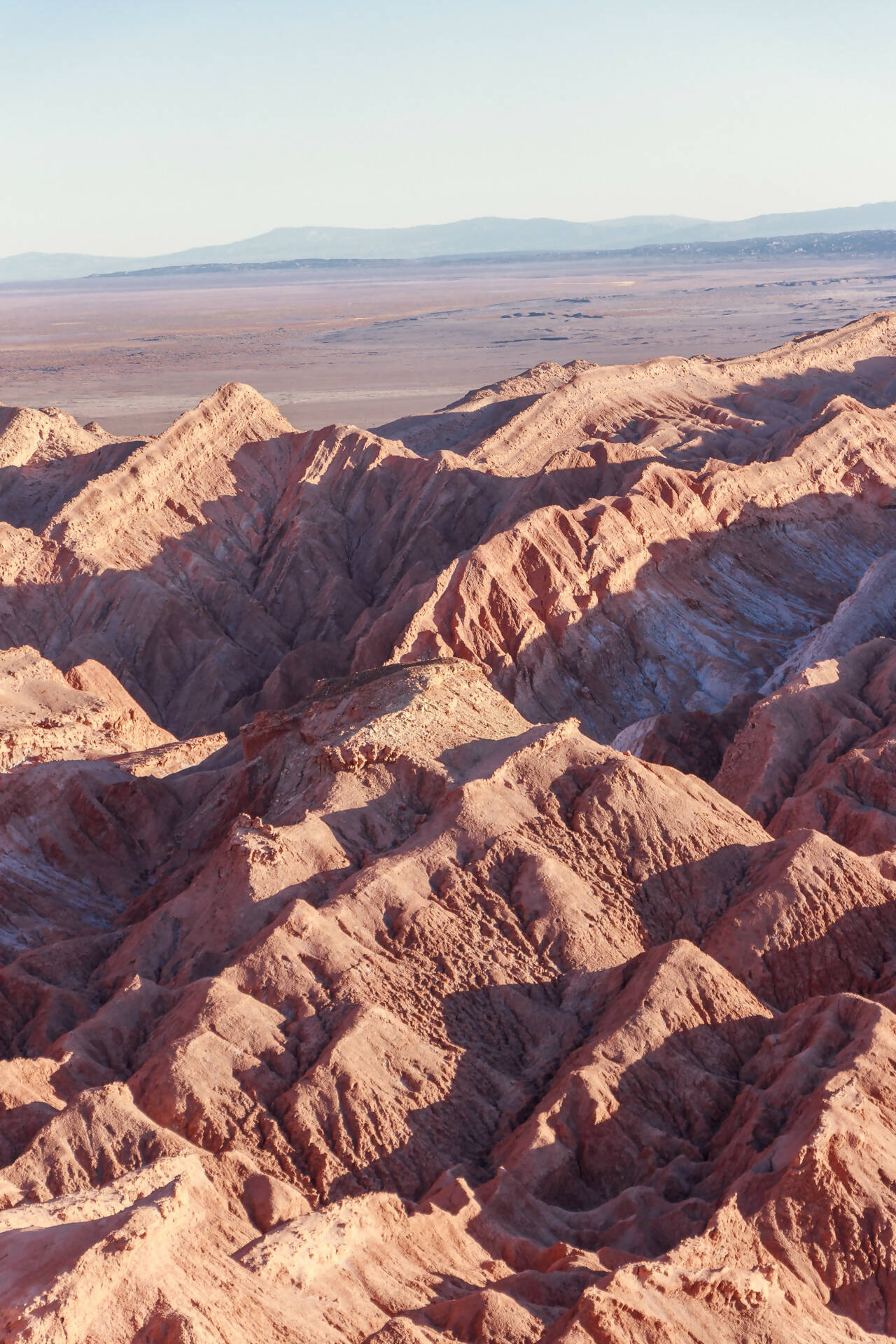 Infinite Horizons at El Coyote Viewpoint