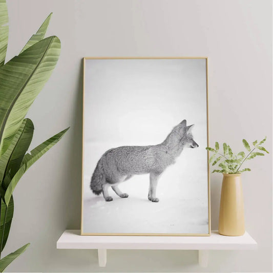 El zorrito de Corralco