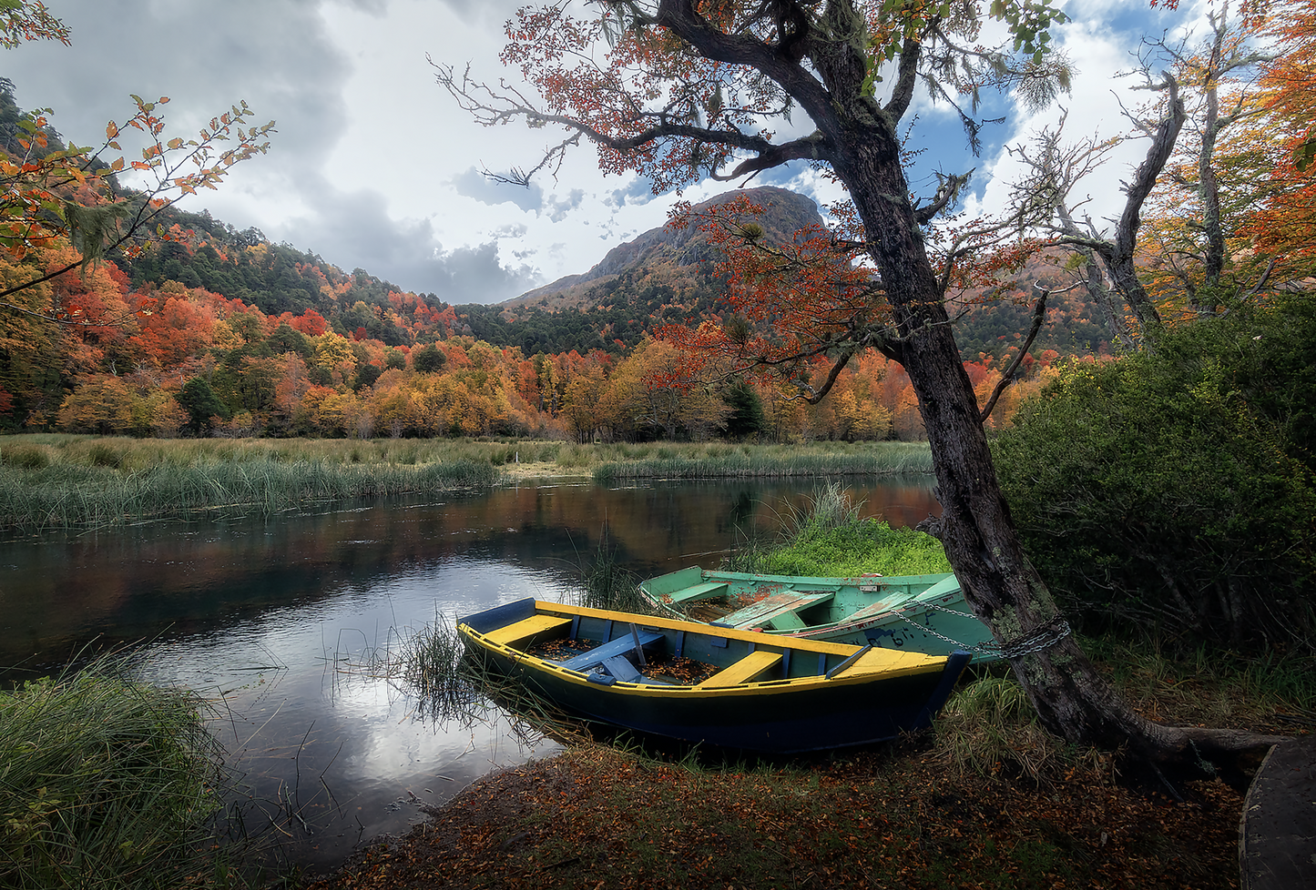 Otoño, Parque Nacional Villarrica