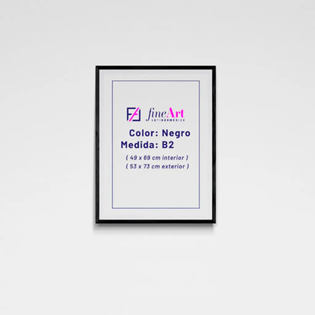 Premium: Frame 50 x 70 cm, B2